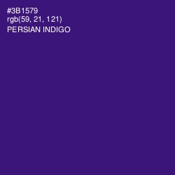 #3B1579 - Persian Indigo Color Image